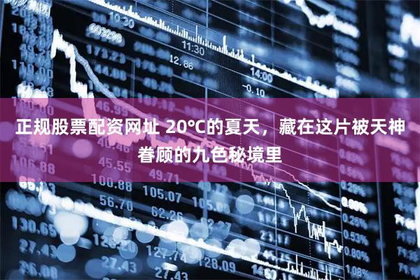 正规股票配资网址 20℃的夏天，藏在这片被天神眷顾的九色秘境里